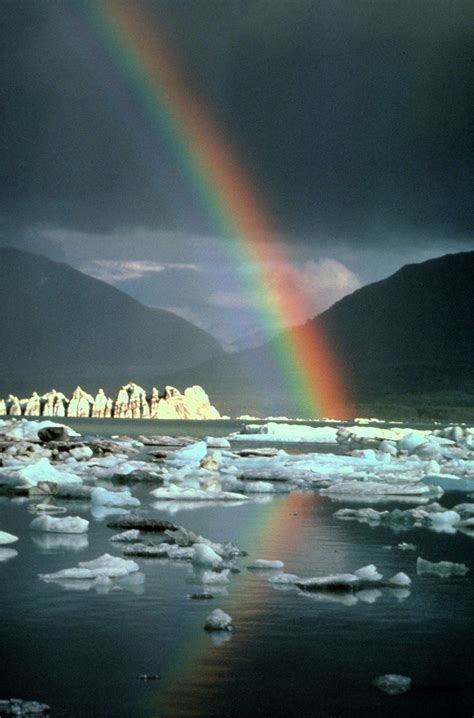 Rainbow Alsek River Alaska Bart Henderson Image Juneau Alaska