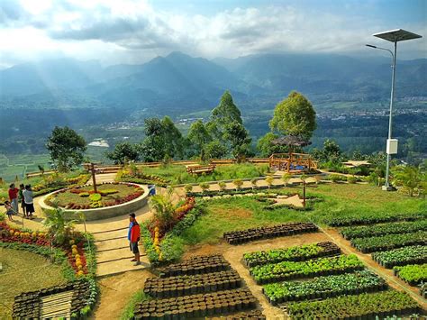 Kamu bisa berayun sambil menikmati indahnya hamparan pepohonan hijau. Spot Foto, Lokasi, Rute dan Harga Tiket Masuk Bukit ...