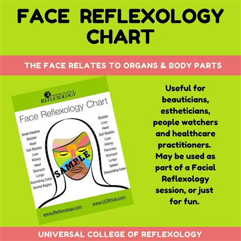 Face Reflexology Chart Universal College Of Reflexology