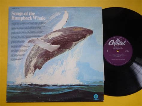 Humpback Whale Lp Songs Of The Humpback Whale Kaufen Auf Ricardo