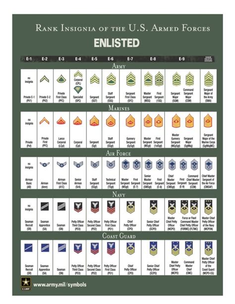 All Ranks In The Military