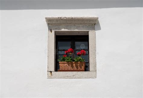 Plain And Simple Flower Arrangement In Window In Stone Wall Stock Image