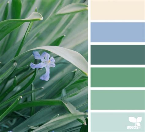 Color Nature Design Seeds Nature Design Business Colors