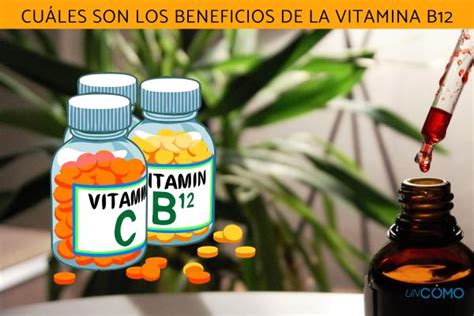 Cu Les Son Los Beneficios De La Vitamina B Descubre Por Qu Es Fundamental