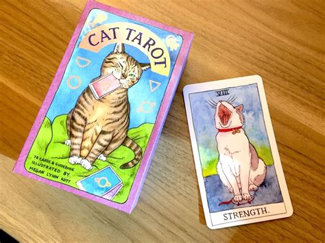 Review Of Megan Lynn Kotts Hand Drawn Cat Tarot Card Deck