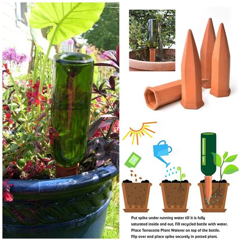 Set Of 4 Terracotta Wine Bottle Plant Watering Stakes For