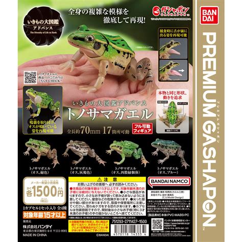 いきもの大図鑑アドバンス トノサマガエル｜ガシャポンオフィシャルサイト