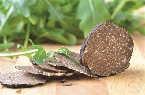 How To Grow Truffles In The United States Grit Rural American Know How