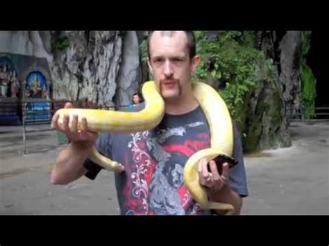 Sex And Snakes YouTube