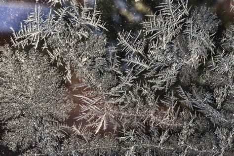 Wallpaper Snow Winter Branch Ice Cold Frost Spruce Universe