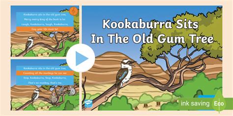 Kookaburra Sits In The Old Gum Tree Song Powerpoint Twinkl