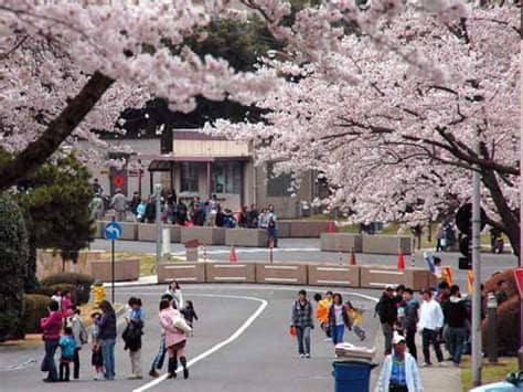 See more of zaman on facebook. Camp Zama Japan