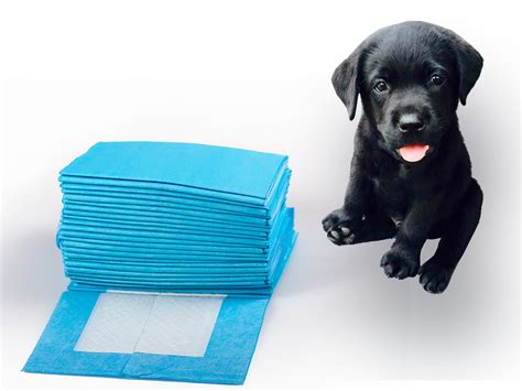 30 X 30 Inches Dog And Puppy Training Pads Disposable Dog Pet Pee Pads