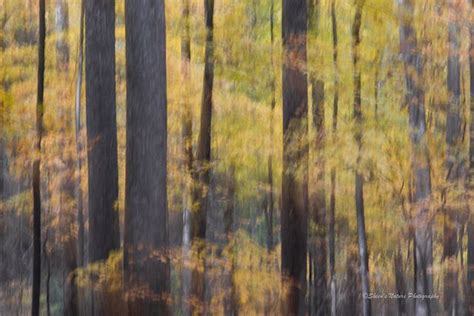 Abstract Nature Photography 3 Effective Tips To Create Captivating