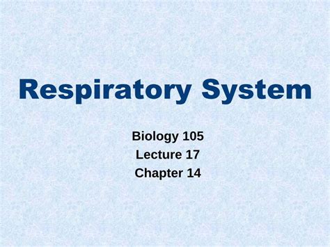 Pdf Respiratory System Napa Valley College 17 · Upper