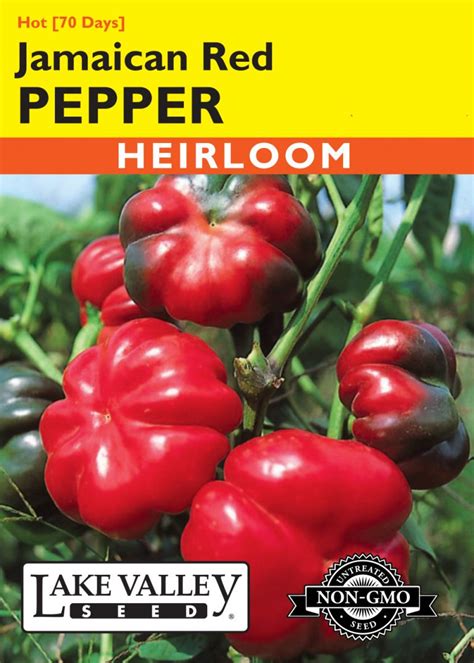 Pepper Hot Jamaican Red Item 1223 Lake Valley Seed