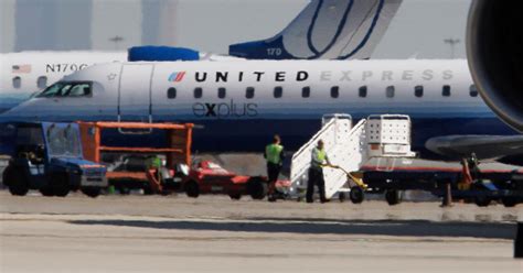 A United Baggage Handler Took An Unexpected Flight In A Cargo Hold