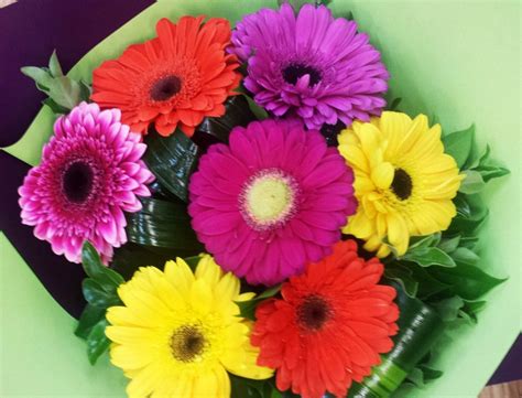 Gerbera Bouquet Bouquets Adelaide And Hills Delivery