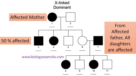 Pedigree Analysis Meaning Inheritance Pattern And Problem Solving Tips