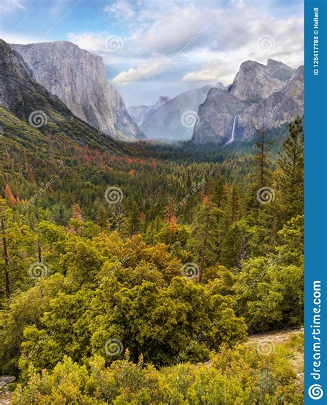 Yosemite Valley Mountains Us National Parks Stock Photo Image Of