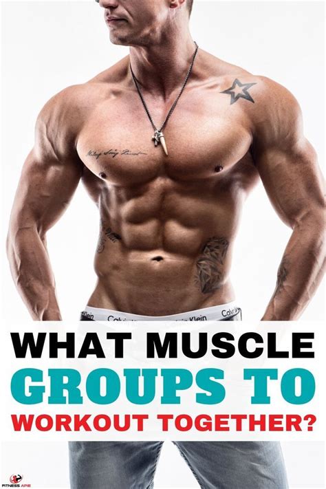 What Muscle Groups To Workout Together Muscle Groups To Workout