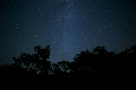 Free Images Nature Forest Sky Night Star Milky Way Atmosphere