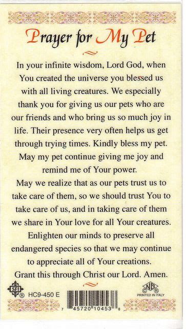 Sick dog prayer almighty father, you are the lord and giver of life. Gail Anderson | Sick pets, Prayers, Animal quotes