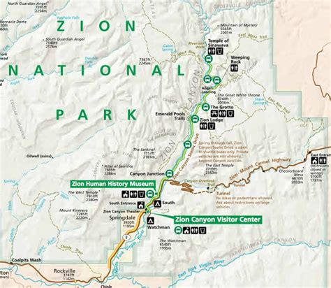 Zion National Park Spacyshorts