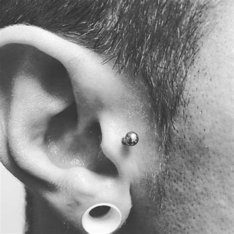 Tragus Piercing Ideas Pain Level Healing Cost Experience