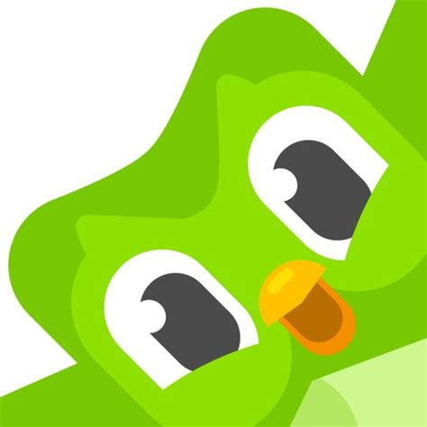 Duolingo App Icon At Collection Of Duolingo App Icon
