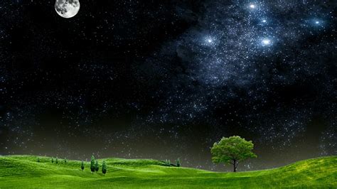 Grass Field Sky Astronomical Object Landscape Atmosphere Of Earth