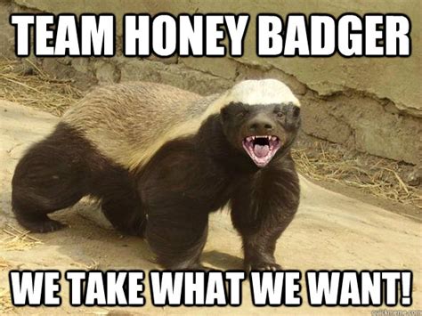 Team Honey Badger We Take What We Want Indifferent Honey Badger