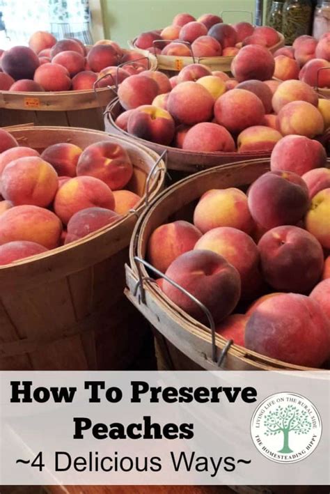How To Preserve Peaches 4 Different Ways The Homesteading Hippy