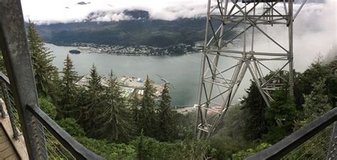 Mount Roberts Trail Juneau Updated 2020 All You Need To Know Before