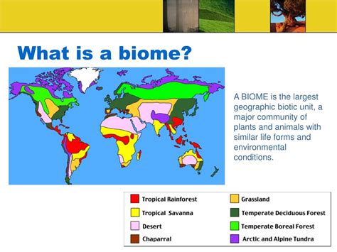 Ppt Biomes Of The World Powerpoint Presentation Free Download Id