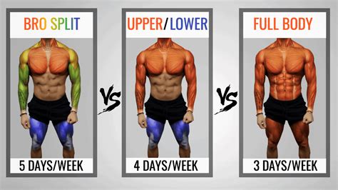 Best Workout Split Training Routines For Upper And Lower Body