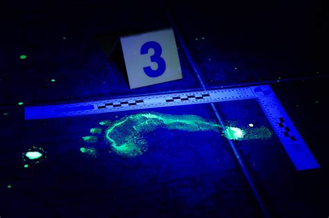 How Luminol The Blue Glowing Crime Scene Chemical Is Helping