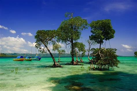 Best Of Andaman Nicobar Islandsunion Territory