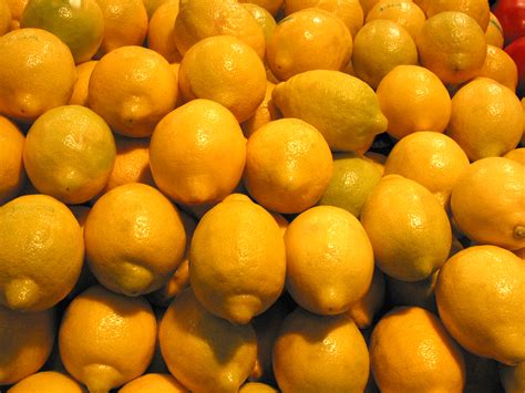FREE Lemon Photo, Lemon Picture, Lemons Image, Royalty-Free Fruit Stock ...