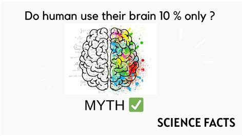 Do Humans Use Only 10 Of Their Brain 🤔🧠 क्या इंसान अपने मस्तिष्क का