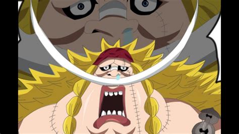 One Piece Chapter 802 ワンピース Whitebeards Real Son Ancient Zou