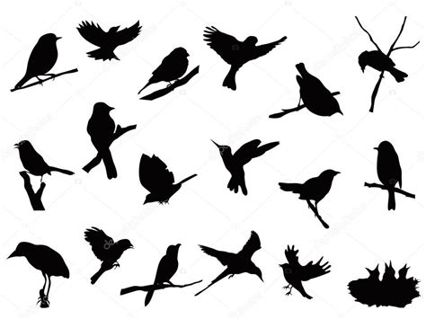 Bird Silhouettes Collection — Stock Vector © Huhulin 7678379