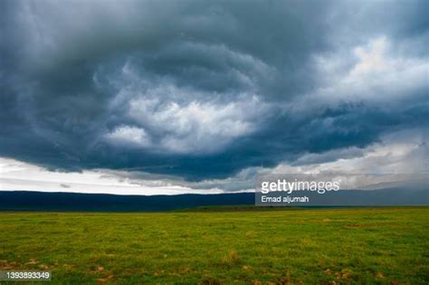 Serengeti Volcanic Grasslands Photos And Premium High Res Pictures