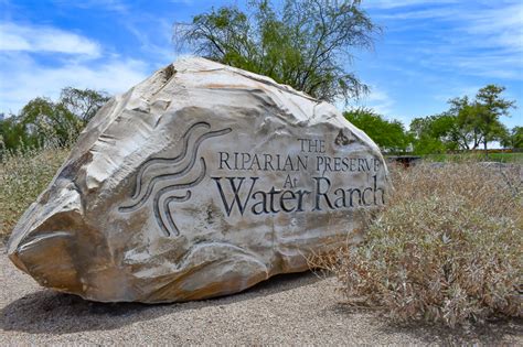 Riparian Preserve At Water Ranch World Of Arizona