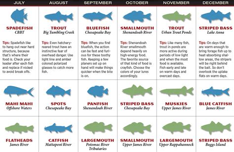 2017 Virginia Fishing Forecast Game And Fish