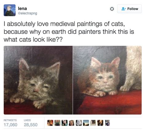 25 Hilarious Cat Tweets To Brighten Your Day Meowingtons