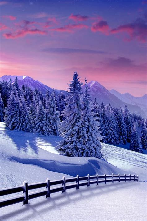 Winter Mountain Scenery Iphone Wallpaper Winter Winter Iphone Iphone