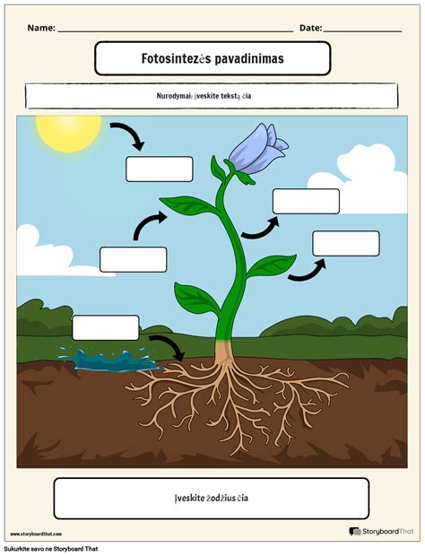 Nuotraukos Portreto Spalva Storyboard Par Lt Examples