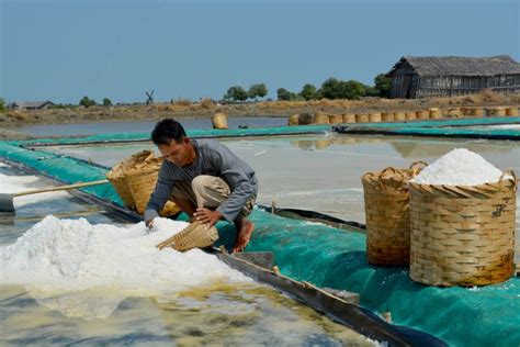 Cara Membuat Garam Dilihat Dari Berbagai Metode Di Indonesia