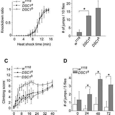 Susceptibility Of W1118 And Dsc1 Knockout Flies To Insecticides